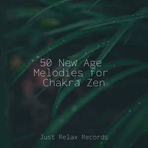 50 New Age Melodies for Chakra Zen - Relaxing Spa Music