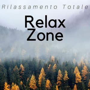 Relax Zone - Rilassamento Totale, Musica per un Break Giornaliero, Rilassarsi con i Suoni della Natura, Musica Zen per la Pace Interiore e l'Equilibrio del Corpo e della Mente - Keep Calm and Relax
