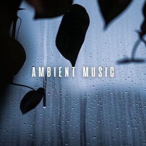 Ambient Music: Binaural Spa Tracks with Gentle Rain Sounds - Summer Showers
