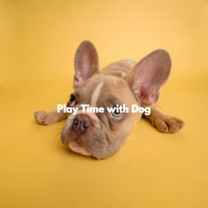 Play Time with Dog - Jazz Music for Studying