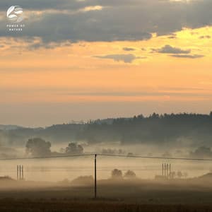 Calm Nightfall In The Countryside - Soothing Ambient