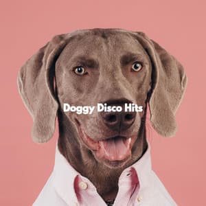 Doggy Disco Hits - Dog Music Zone