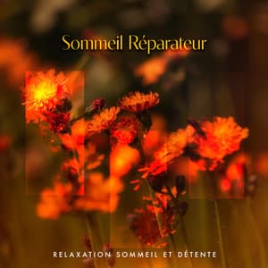 Sommeil Réparateur - Relaxation Sommeil et Détente