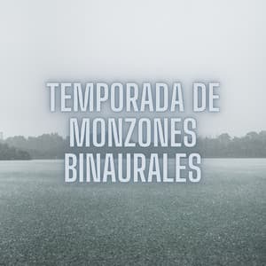 Temporada De Monzones Binaurales - Ricky sonido de lluvia