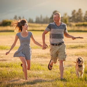 Pawsome Lofi Playtime: Joyful Pet Interactions - Lofi Night Drives