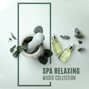 Spa Relaxing Music Collection: Healing and Wellness Atmosphere with Pure Calming New Age Sounds - Relieving Stress Music Collection