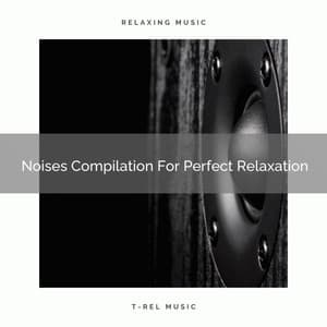 Noises Compilation For Perfect Relaxation - Chill Relajente