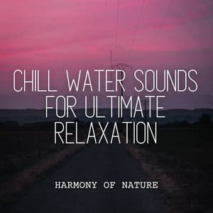 Harmony of Nature: Chill Water Sounds for Ultimate Relaxation - Meteoric Stream