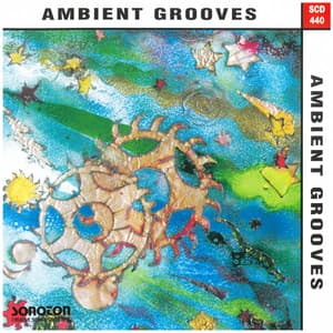 Ambient Grooves - Tim Juckes