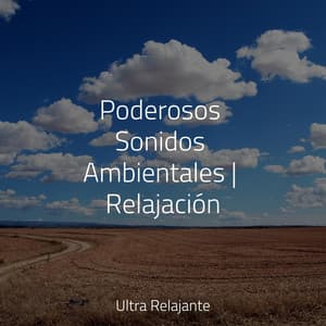 Poderosos Sonidos Ambientales | Relajación - Relajarse