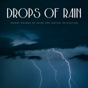 Drops Of Rain: Serene Sounds Of Rains For Instant Relaxation - Recorder Rain