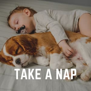 Take a Nap - Musica para Bebes