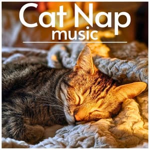 Cat Nap Music - RelaxMyCat