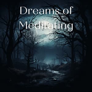 Dreams of Meditating - Nebula of Dreams