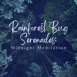 Rainforest Bug Serenades: Midnight Meditation - Natural Sound Makers