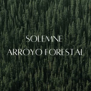 Solemne Arroyo Forestal - Sonidos épicos de la naturaleza