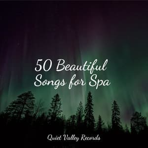 50 Beautiful Songs for Spa - Relaxing Nature Ambience