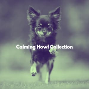 Calming Howl Collection - Calming Jazz For Dogs
