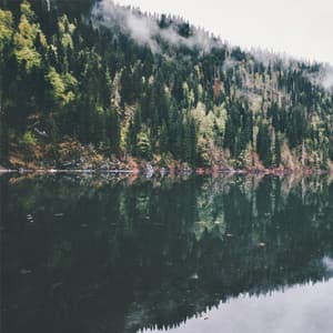 Yoga Guru - Yoga Flow