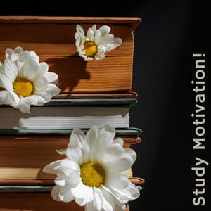 Study Motivation! Relaxation Sounds for Concentration While Studying - Brain Study Music Guys