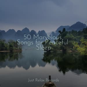50 Marvelous Songs for Peaceful Sleep - Powerthoughts Meditation Club