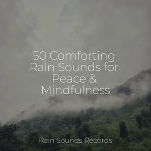 50 Comforting Rain Sounds for Peace & Mindfulness - Ocean Sounds