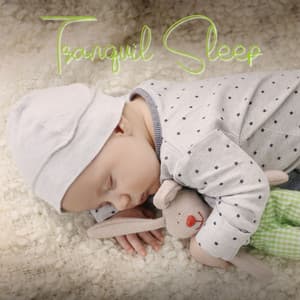 Tranquil Sleep: Peaceful Baby Lullabies - Sleep Baby Music Zone
