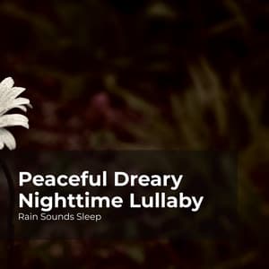 Peaceful Dreary Nighttime Lullaby - Rain Sounds Sleep