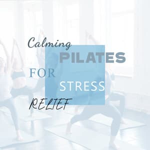 Calming Pilates for Stress Relief: Moving Meditation, Gentle Stretching, Mind Body Relaxation - Pilates Workout Academy