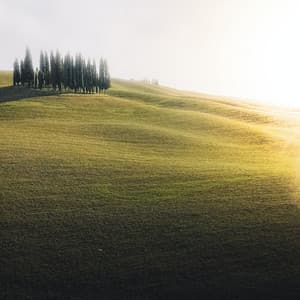 Shusher Sound - Relaxing Sounds of Nature White Noise Waheguru