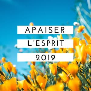 Apaiser l'esprit 2019: Musique douce piano et nature relaxation - Jardin japonais