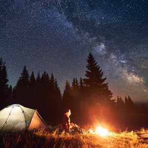 Music to Soothe: Relaxing Evening Tunes - Best Cafe Chillout Mix