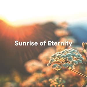 Sunrise of Eternity - Deep Relaxation Meditation Academy