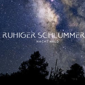 Ruhiger Schlummer: Nachtwald, Naturgeräusche zum Entspannen, Tiefschlaf die Ganze Nacht - Meditationsmusik Sammlung