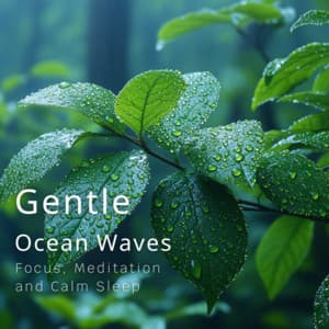 Gentle Ocean Waves - Focus, Meditation, and Calm Sleep - Ocean Waves for Deep Sleep