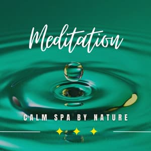 Riverside Rejuvenation: Calm Spa by Nature - Empty Space