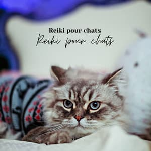 Reiki pour chats : musique de zoothérapie pour une relaxation profonde - Cat Experience
