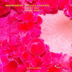 Brainforest - Jacques Demierre
