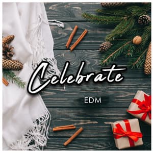 Celebrate - EDM