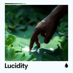 Lucidity - Chillout Lounge