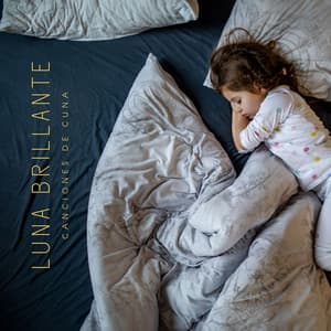 Luna Brillante: Canciones de Cuna - Canciones De Cuna