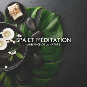 Spa et méditation - Maîtres de Musique Tantriques