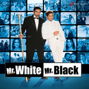 Mr. White Mr. Black - Shamir Tandon