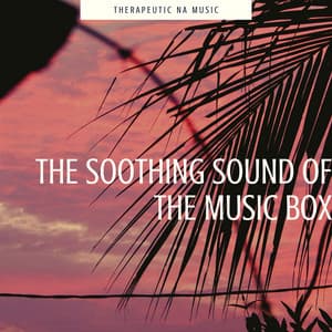 The Soothing Sound of the Music Box - Therapeutic NA Music