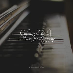 Calming Melodies to Soothe the Soul - Peaceful Piano Chillout