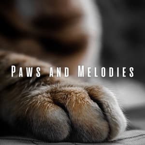 Paws and Melodies: Music for Enchanting Cats - Deruinga