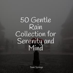 50 Gentle Rain Collection for Serenity and Mind - Deep Focus