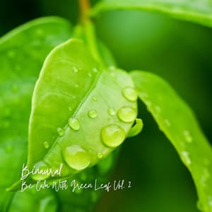 Binaural: Be Calm With Green Leaf Vol. 2 - Zen Sounds