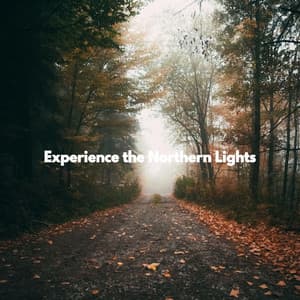 Experience the Northern Lights - Instrumental Chill Out Jazz