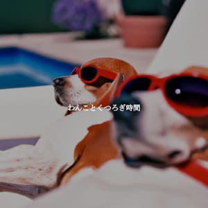 わんことくつろぎ時間 - Jazz Radio